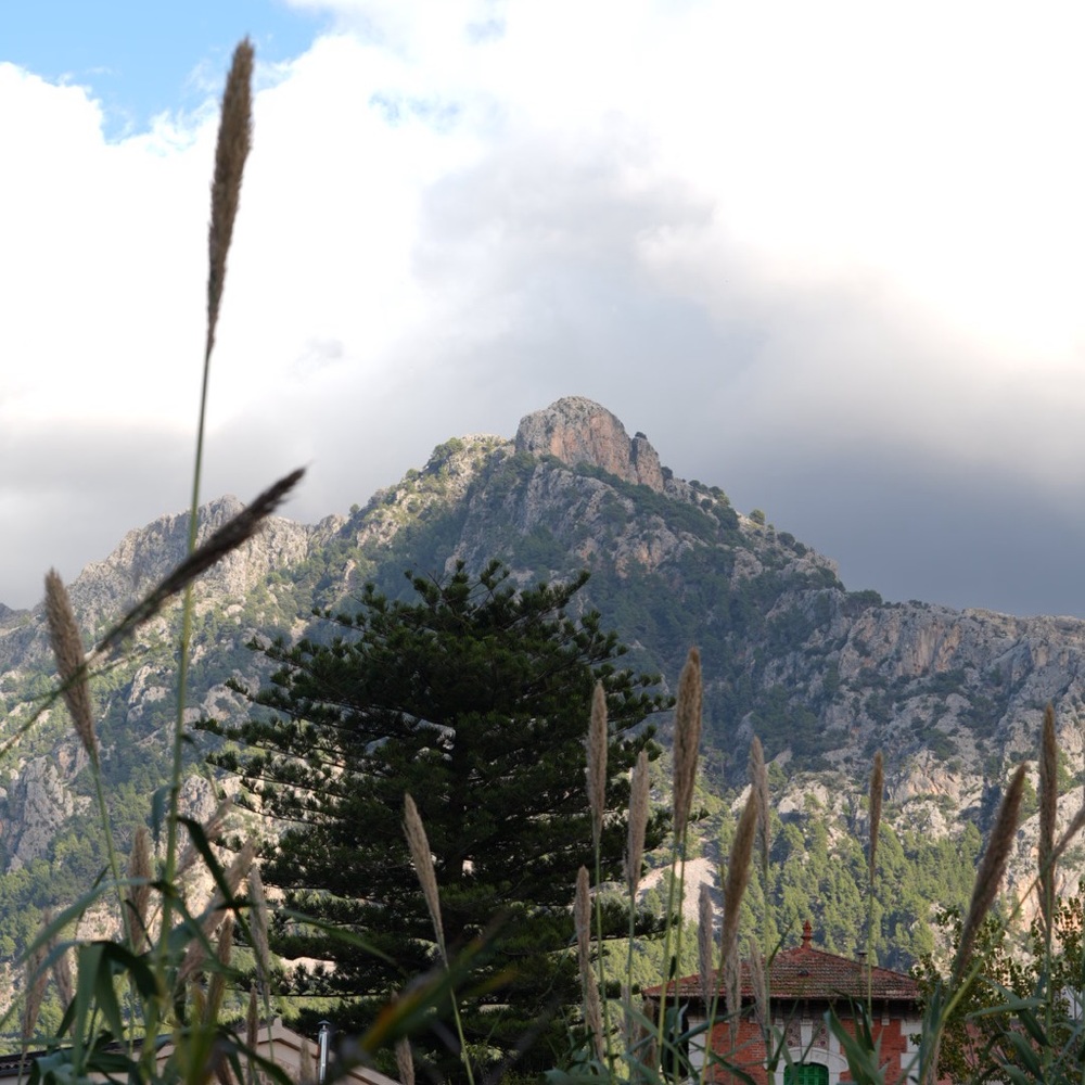 Meet your Posher, Nathan